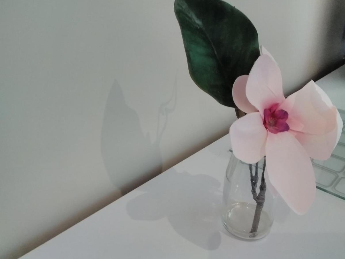 Windermere Studio Rooms - With Free Car Parking Onsite Zewnętrze zdjęcie